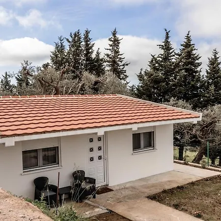 Olive Grove Apartment Bar Exterior photo
