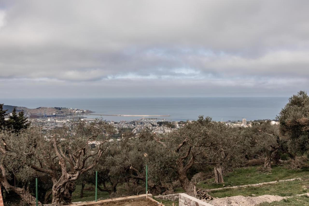 Apartment Olive Grove