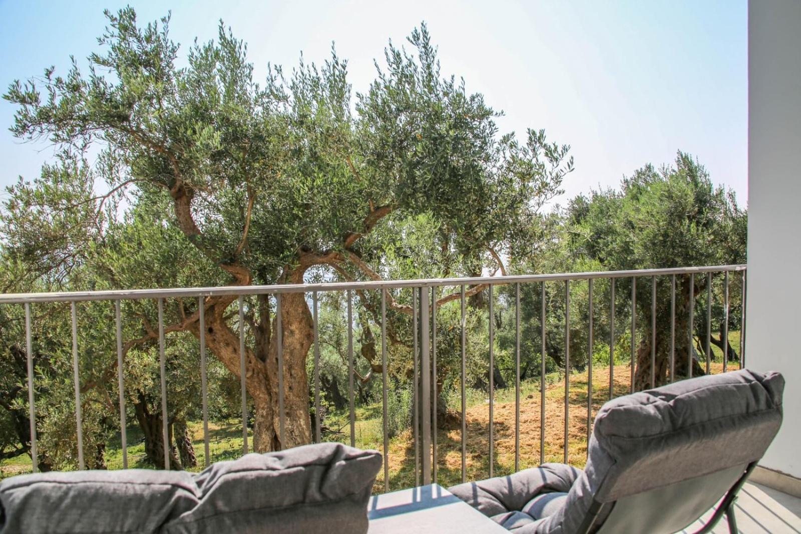 Olive Grove Бар